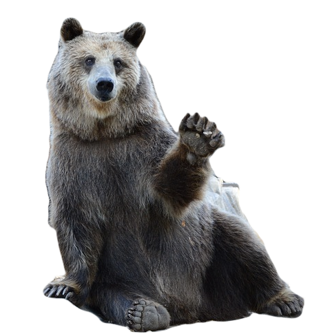 30Hands Learning tweet media