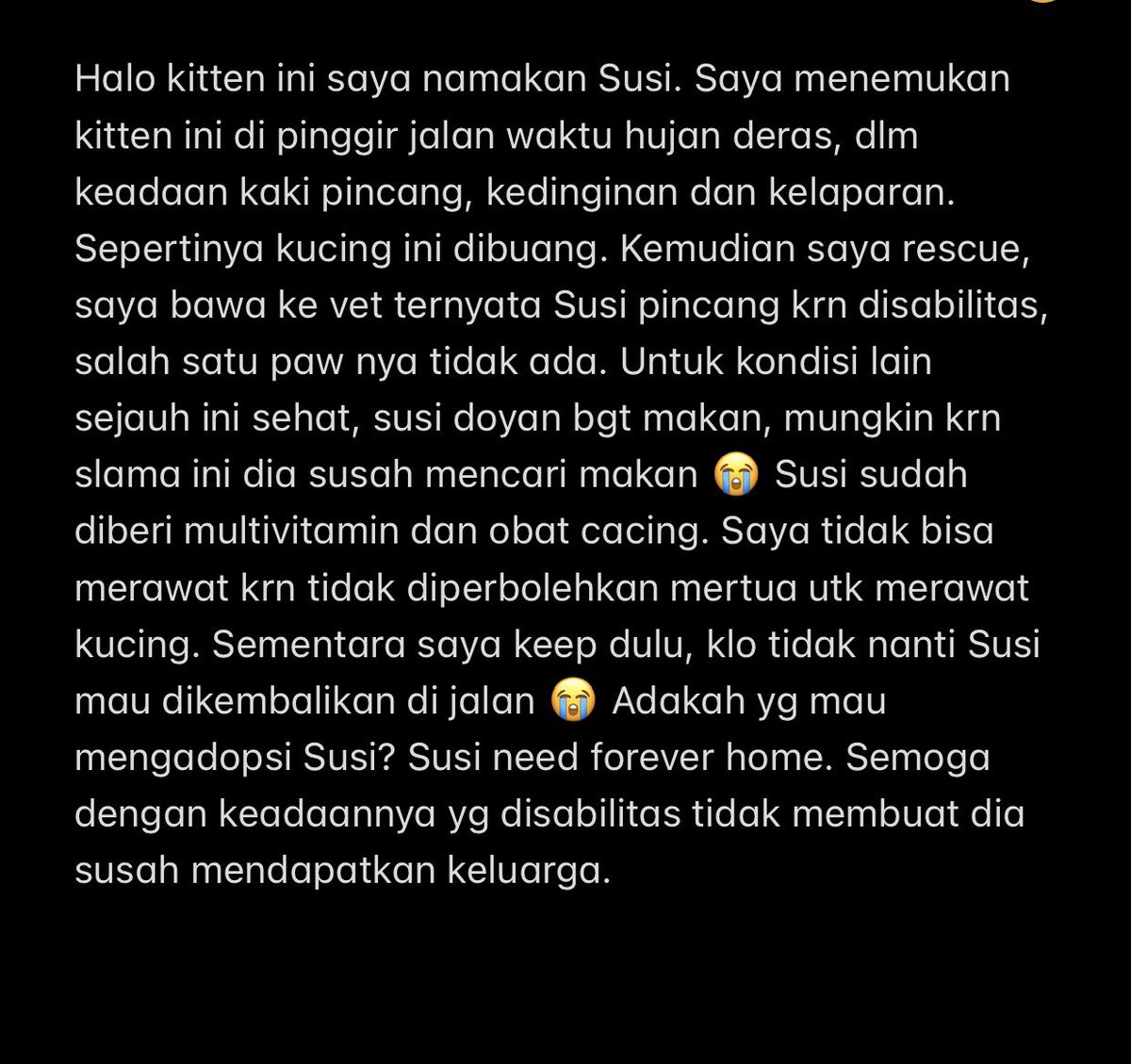 perigigi tweet media