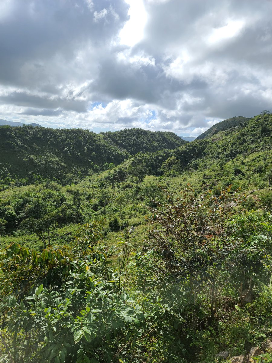 Currently my phone's wallpaper