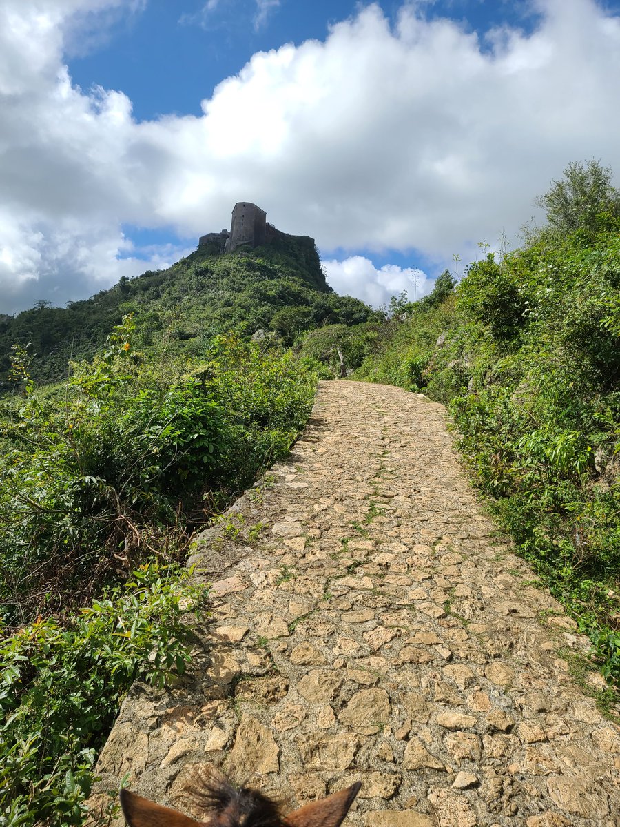 Currently my phone's wallpaper