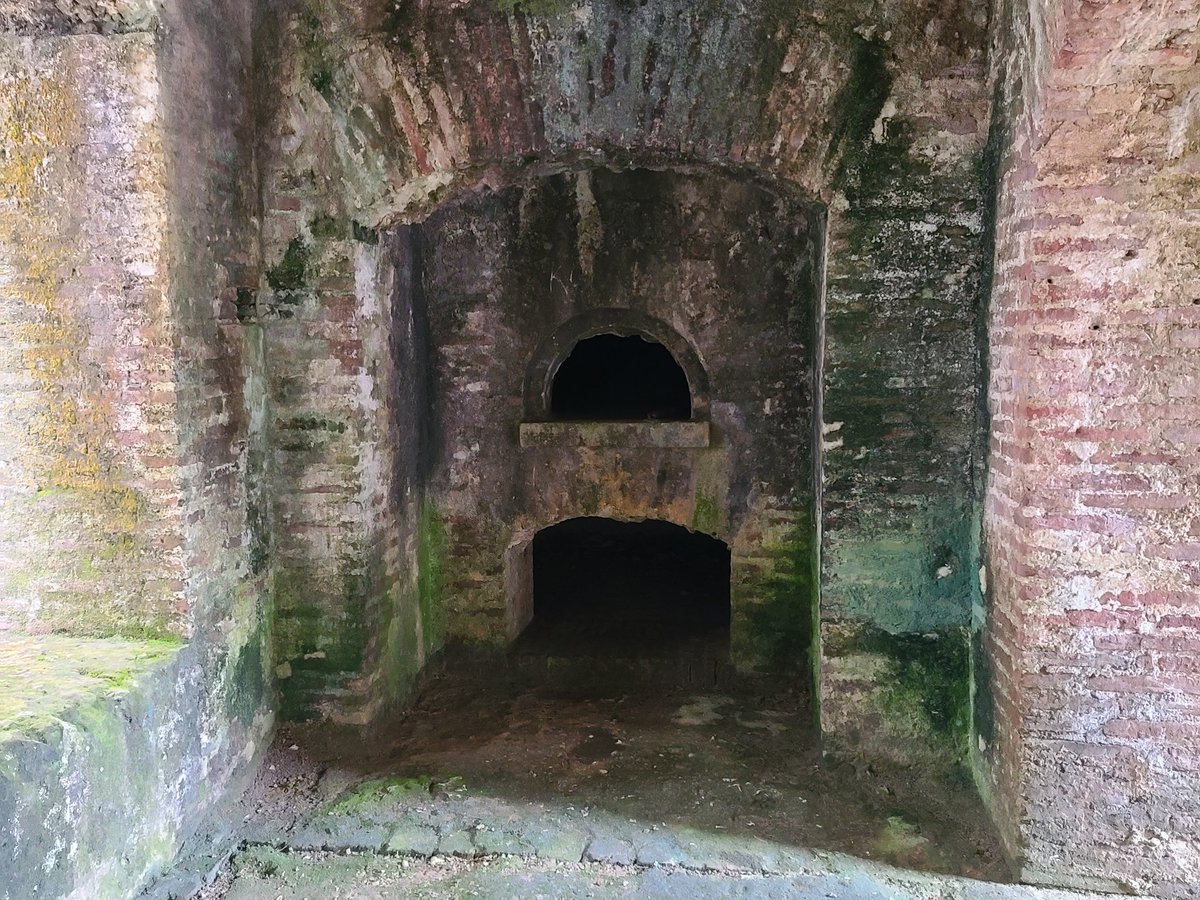 Currently my phone's wallpaper