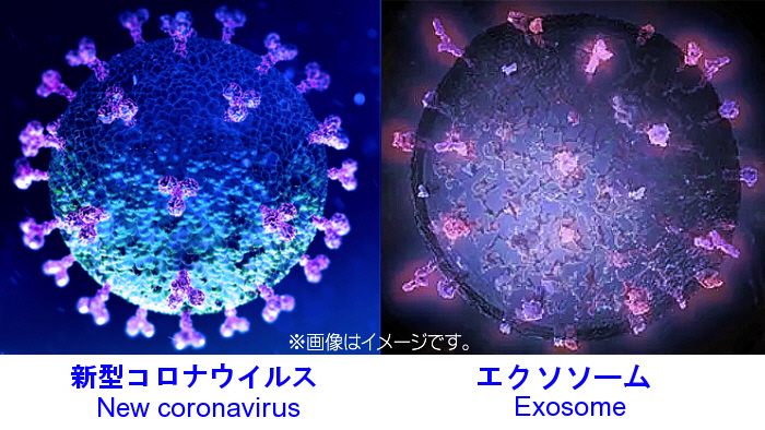 Rakuten Douraku Rdouraku Twitter Rakuten Douraku Rdouraku Twitter