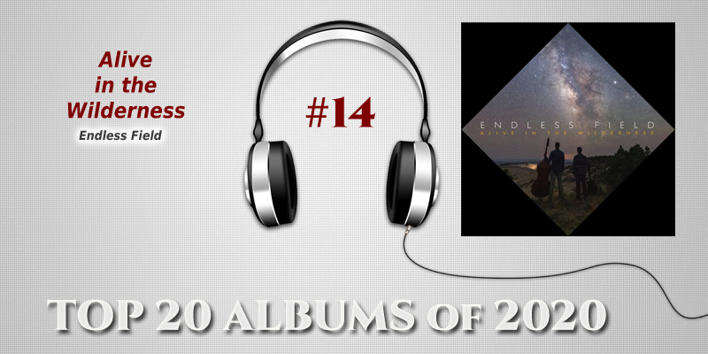 Top 20 Albums of 2020:  #14
Nature, it's what we all crave, taken for granted, and to invoke such a thing in music, to tell it's story...this is <a href="/TheEndlessField/">Endless Field</a> "Alive in the Wilderness." Instrumental perfection+improv that is "nature" in it's beauty+ unpredictability. 🎼🎧