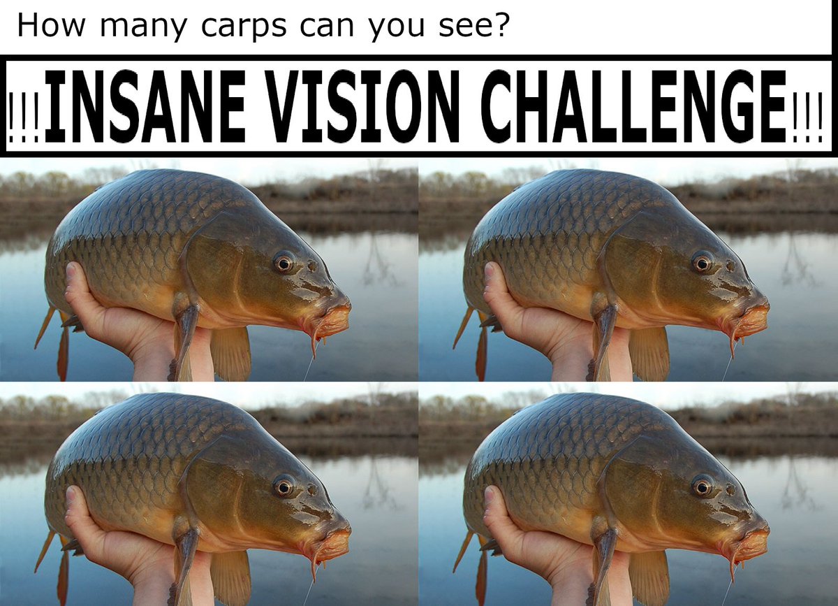 Xenodizzy's tweet photo. #carp #carptwt #carpchallenge #freewifi https://t.co/LTWtDTloed