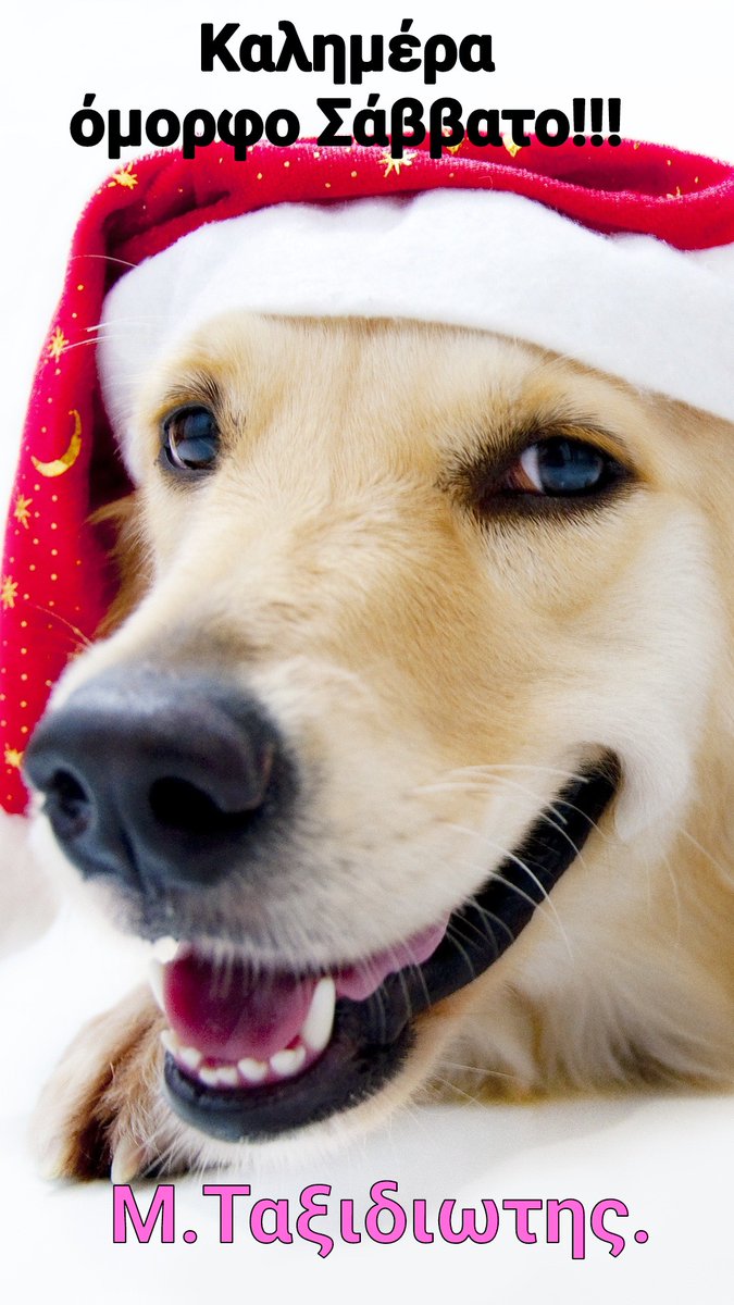 Καλημέρα να έχετε ένα ευλογημένο Σάββατο όλοι καί όλες 🌹🌹🌹💖💖💖🌹🌹🌹