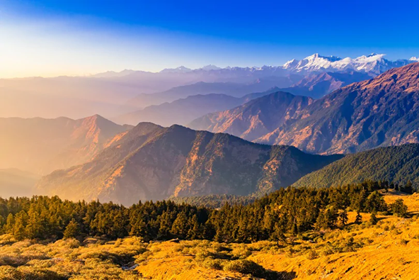 iato_india's tweet photo. #Chopta is small but significant region in #Uttarakhand. The place is covered with alpine and grassy meadows and forests and is suurounded by many mighty mountain peaks that create a breathtaking backdrop. Chopta is also a base for #trekking to #Tungnath, one of the Panch Kedar. https://t.co/KGhxnF500B