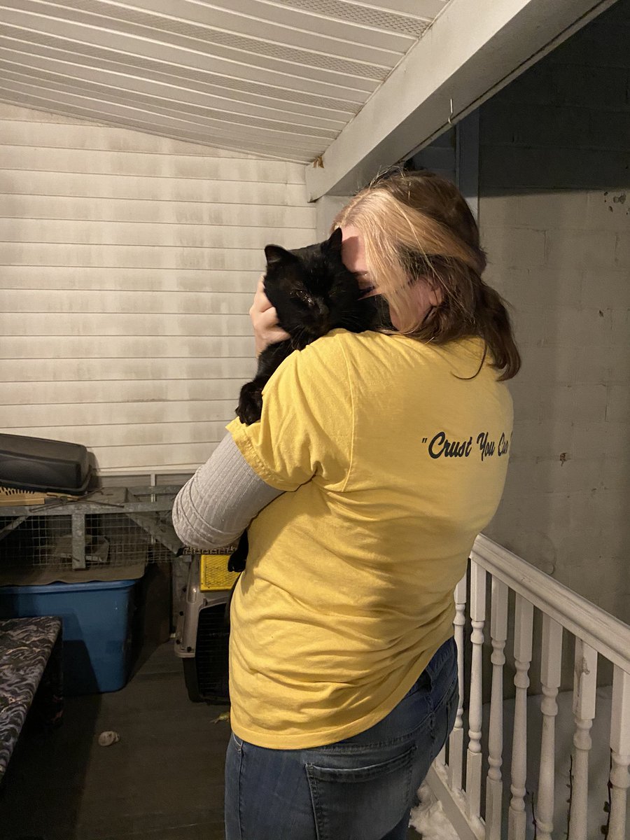 noitsjustbekah's tweet photo. I will transport him and pay whatever needs to be paid, I just need to see him get inside somewhere for the winter. I’m genuinely in tears over this cat. https://t.co/2EYemop8D2