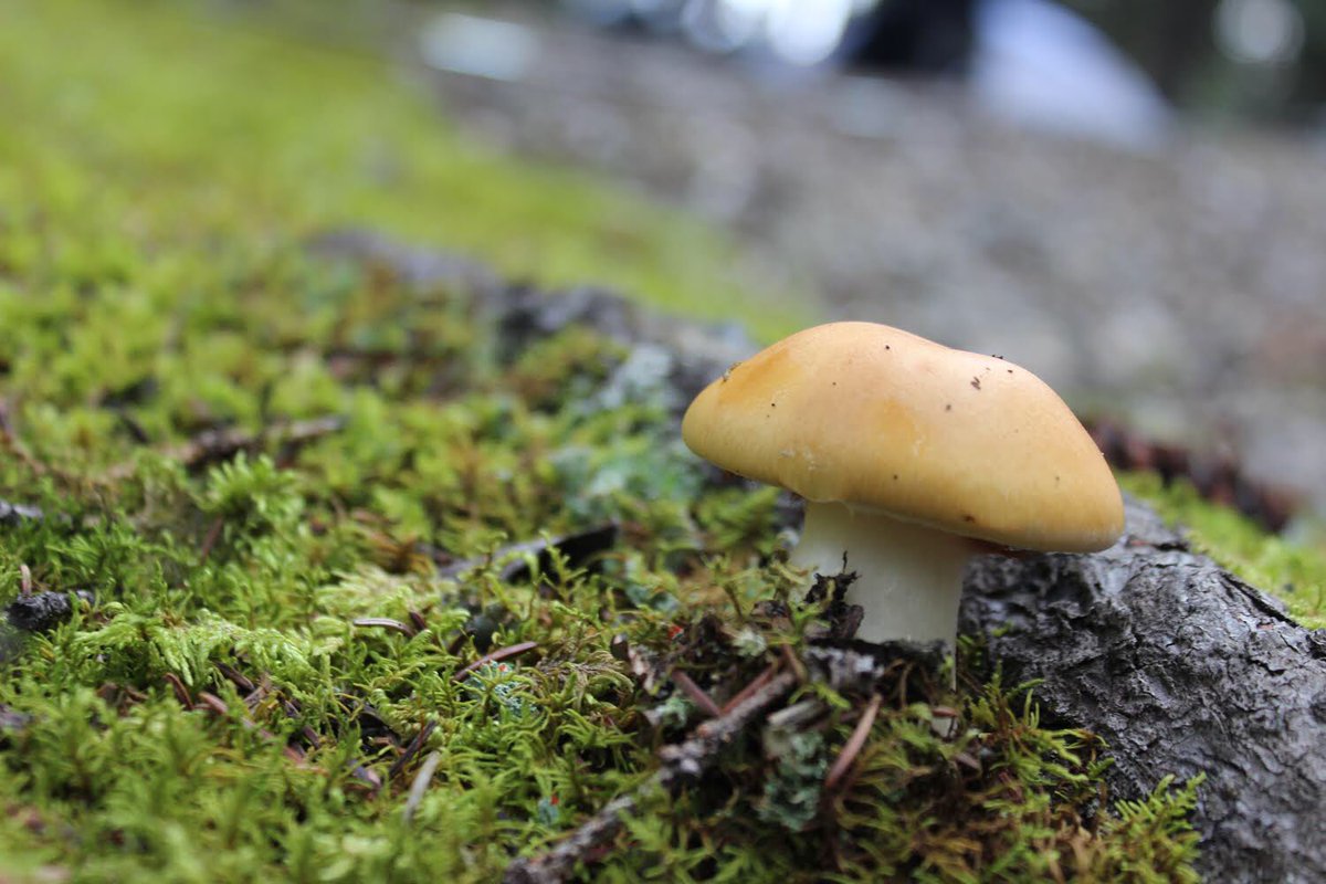 Look at one of the pictures I took