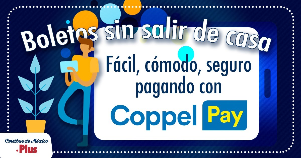 Omnibus_oficial's tweet photo. ¡Realiza tu pago de forma segura con #CoppelPay! 😀👍

Te mostramos cómo realizar el pago de tus boletos:
✅Recuerda primero ingresar a https://t.co/xU74MV59rm para crear tu cuenta.
✅Compra tus boletos en https://t.co/0hjDcgG6n5
#ViajaSeguroConOmnibus #ContinuamosUniendoFamilias https://t.co/VhbkbJtkxL