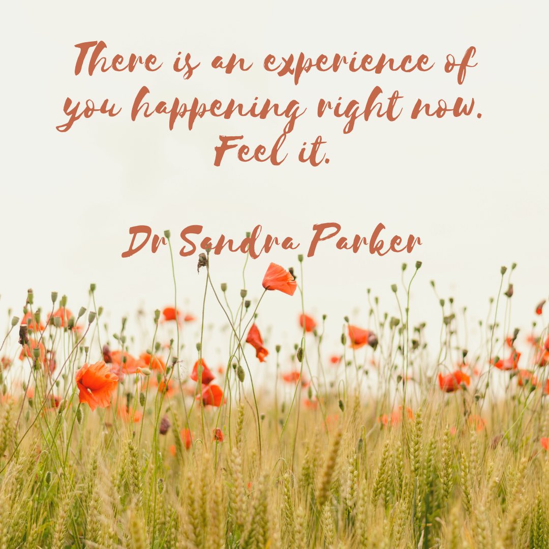 Sandra Parker tweet media