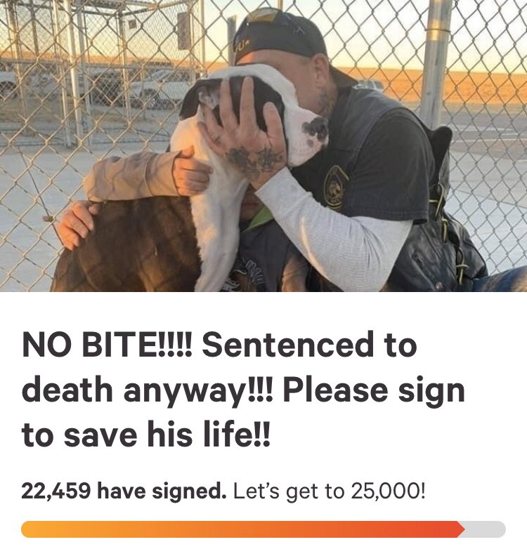 beaumadisonpc's tweet photo. @landon7897 @KCWY13 @KCWY13 Any chance of getting this family some local exposure on? EXTREMELY URGENT 🚨💔🙏🐾#SAVEKING #JUSTICEFORKING 👑 

https://t.co/U9weWLL2yV
#Casper #WY #Wyoming https://t.co/biFgR1Lj3B