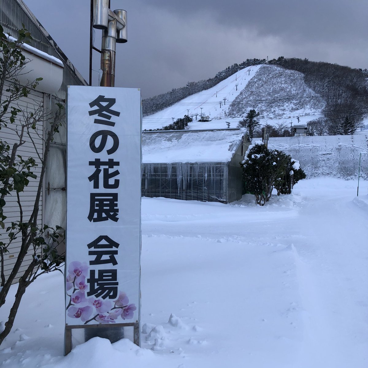 平内町地域おこし協力隊 大好評 開催中です 夜越山でクリスマス ムードをお楽しみください お問い合わせ 017 755 2663 夜越山森林公園サボテン園 冬の花展 夜越山森林公園サボテン園 平内町 クリスマス クリスマスツリー イベント情報 休日 平内町地域おこし協力隊 大好評 開催中です 夜越山でクリスマス ムードをお楽しみください お問い合わせ 017 755 2663 夜越山森林公園サボテン園 冬の花展 夜越山森林公園サボテン園 平内町 クリスマス クリスマスツリー イベント情報 休日