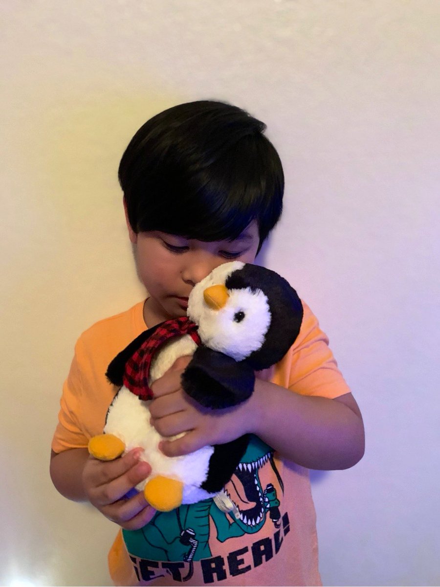 bphillipsgg's tweet photo. Nothing beats doing school with your favorite stuffed friend 🥰 #SpiritWeek #2ndgrade @Gregory_Gardens https://t.co/6nLxGn00Mt