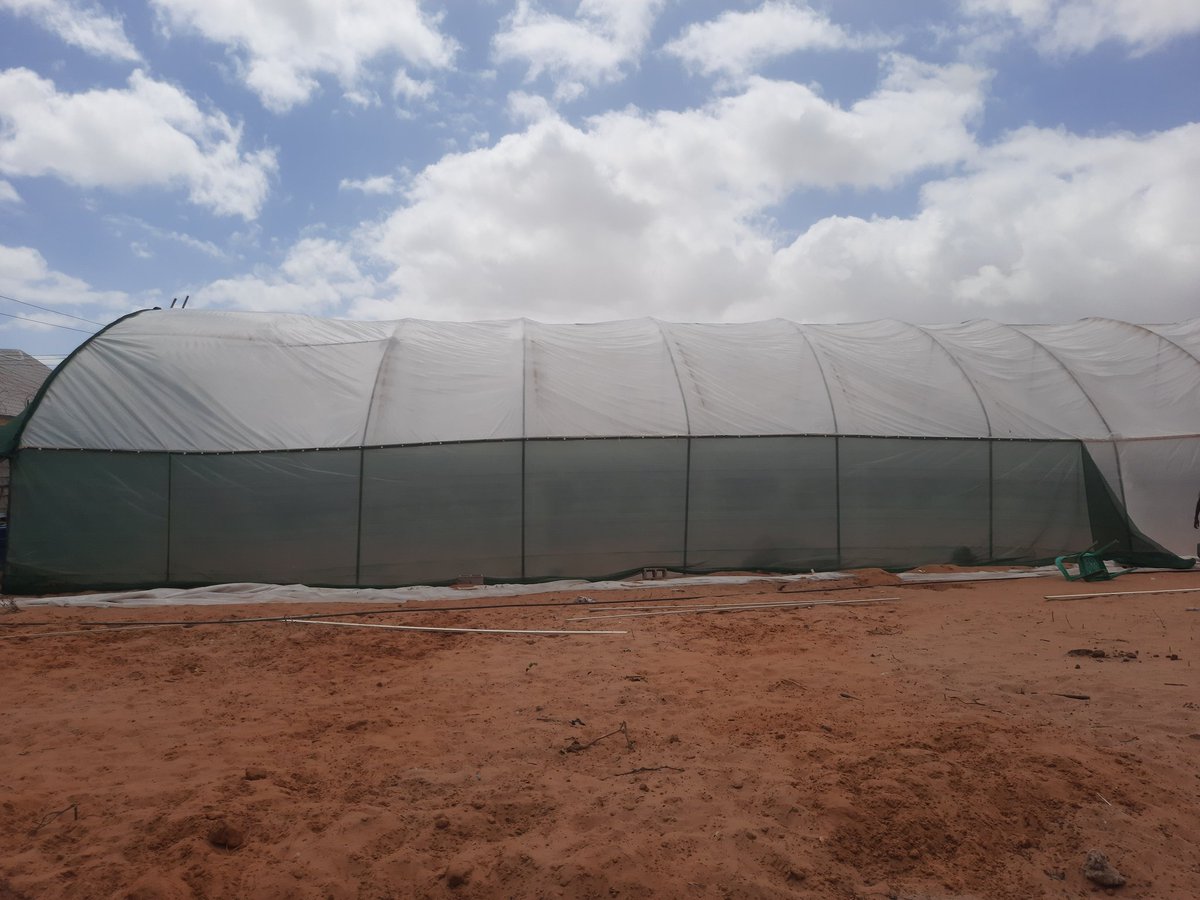 DairySom's tweet photo. It is the 2nd day of construction of SOM MILK GREEN HOUSE work is going well
@tikasomalia @PowerOffGrid @GEEL_Somali @FAOSomalia @WFPSomalia @UNDPSomalia @UNIDOSomalia https://t.co/qYTAWntiI0