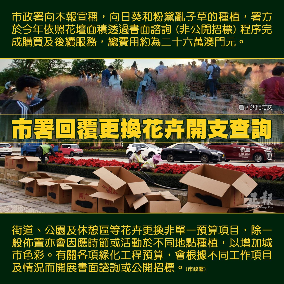 正報on Twitter 市政署在黑沙水庫郊野公園花壇種植向日葵 粉黛亂子草後再移除 署方最近回覆本報時表示 上述兩輪購買及後續服務 總費用約為二十六萬澳門元 均採用書面諮詢方式 即沒有公開招標 關於街道 公園及休憩區等花卉更換的開支及預算 署方重申 那不是