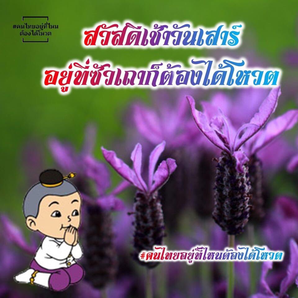ExcludedThai's tweet photo. วันเสาร์แสนสดใส อยากให้คนไทยทั่วโลกมีสิทธิที่เท่าเทียม ภาพที่ถูกใจคุณลุง คุณป้า ทุกเพศทุกวัย ส่งในกลุ่มไลน์บ้านก็ได้ ส่งให้เพื่อนหลายๆวัย ก็ดี มาร่วมกันสร้างการรับรู้ ให้คนไทยในต่างประเทศมีสิทธิเท่าเทียมกันเถอะ  รีพร้อมติด #คนไทยอยู่ที่ไหนต้องได้โหวต ด้วยนาจา. /กะกลางคืน💜 https://t.co/oSOlbaZfEl