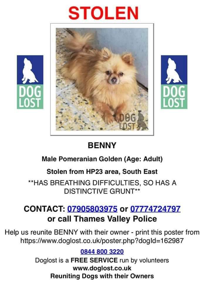 MissingPetsGB's tweet image. 🐕 STOLEN BENNY

Were you at Tesco in Tring #HP23 Thurs 17 Dec 15:40 -16:20?

Did you see anyone acting suspiciously around a White Hyundai Santa Fe parked in one of the disabled bays?

BENNY HAS BREATHING DIFFICULTIES &amp;amp; MAKES A VERY DISTINCTIVE GRUNT
doglost.co.uk/dog-blog.php?d…