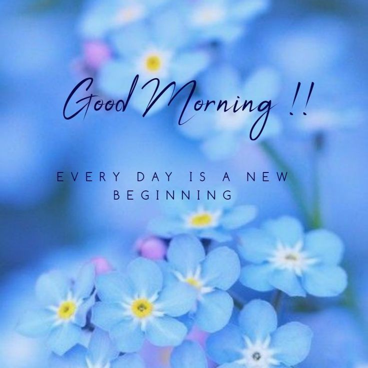 annamen16819800's tweet photo. Good morning to all my twitter friends, I hope you wake up feeling exceptional. You are needed, and unique. #PositiveVibes #everyoneis #uniquein #everyway #GoodMorningTwitterWorld #SmileStrong π€ππ https://t.co/8BPZCIh9nb