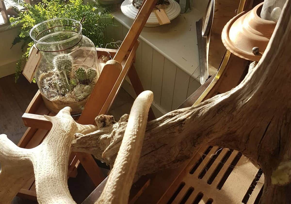 A brand new ‘botanical imaginarium’ and flower shop just opened in Farran 😍✨ buff.ly/347EtgI 

#shoplocal