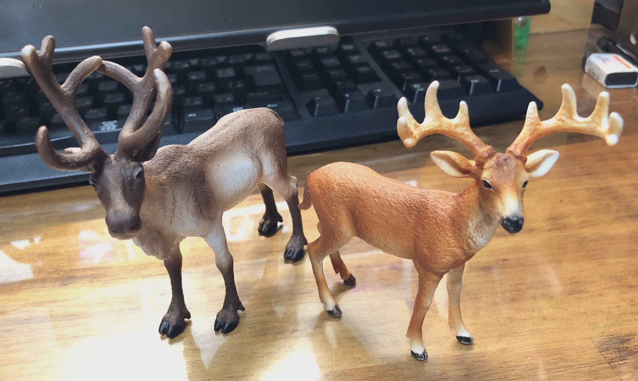 ダージ Dirge 動物園でフィギア買ってきた 立体的な資料ほど最強のものは無い 特にツノは擬人化系イラスト の参考になる これで鹿とトナカイはいろんな角度のツノが描ける ダージ Dirge 動物園でフィギア買ってきた 立体的な資料ほど最強のものは無い 特にツノは擬人化系イラスト の参考になる これで鹿とトナカイはいろんな角度のツノが描ける