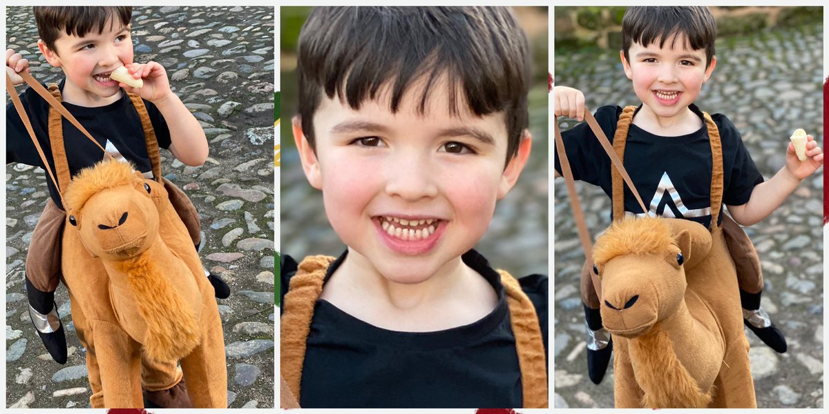AlannaBartram's tweet photo. Jimbo and Cammy off to tap and ballet for a festive class. I hope the camel is good at tap and ballet! 😂🥰😂 #thisboycan #boydancer #lovesdancing #cute #bigsmile #happydancer https://t.co/s3hcgJnzi8
