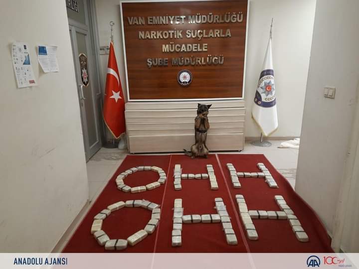 Aslanlarım Benim 😉