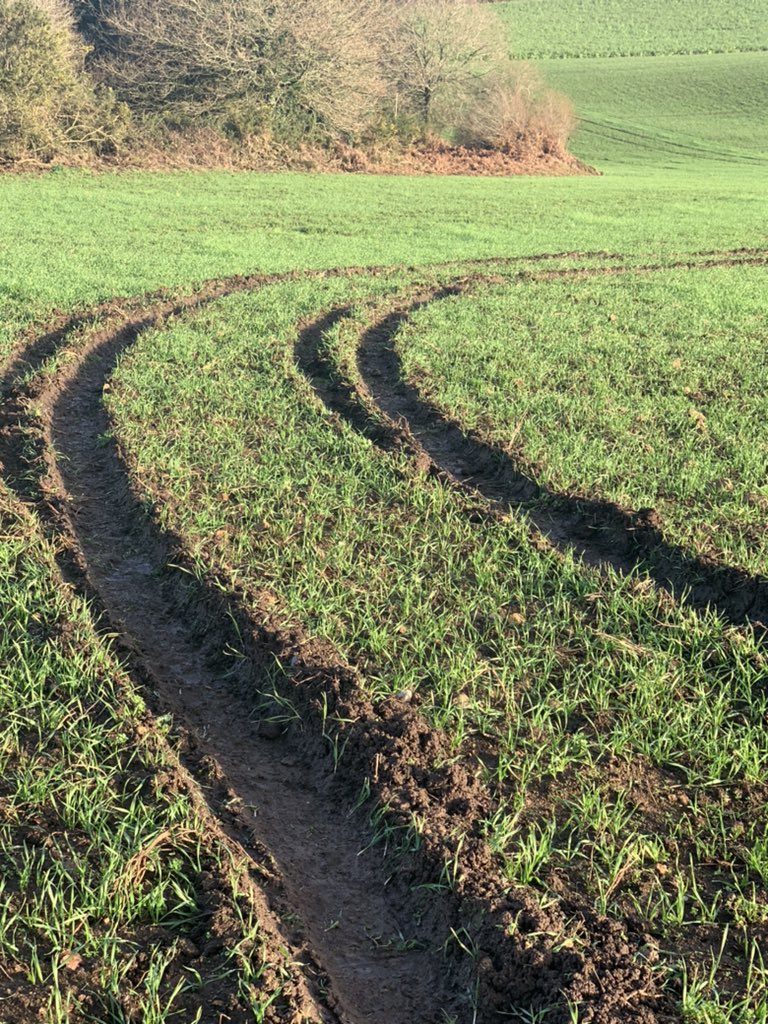 rozbreizh56's tweet image. Et voilà comment un c.....d vient saccager ton boulot 😡😤 Direction gendarmerie !
J’en peux plus de ce manque de respect 😰