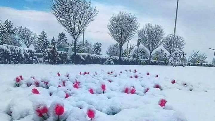 Things change... Life doesn't stop for anybody. -- Stephen Chbosky❄️🌷