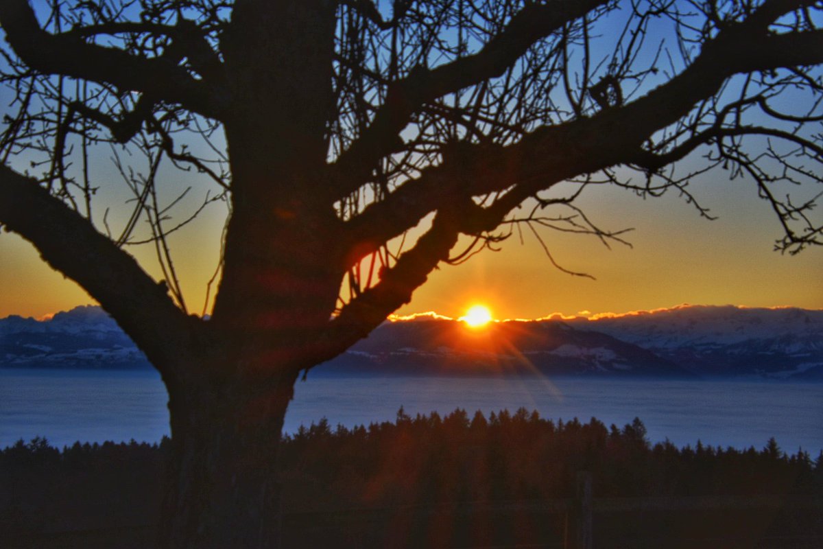 littleswisslady's tweet photo. #täglicheWunder💛
#miniHeimat https://t.co/X9GuhL808h