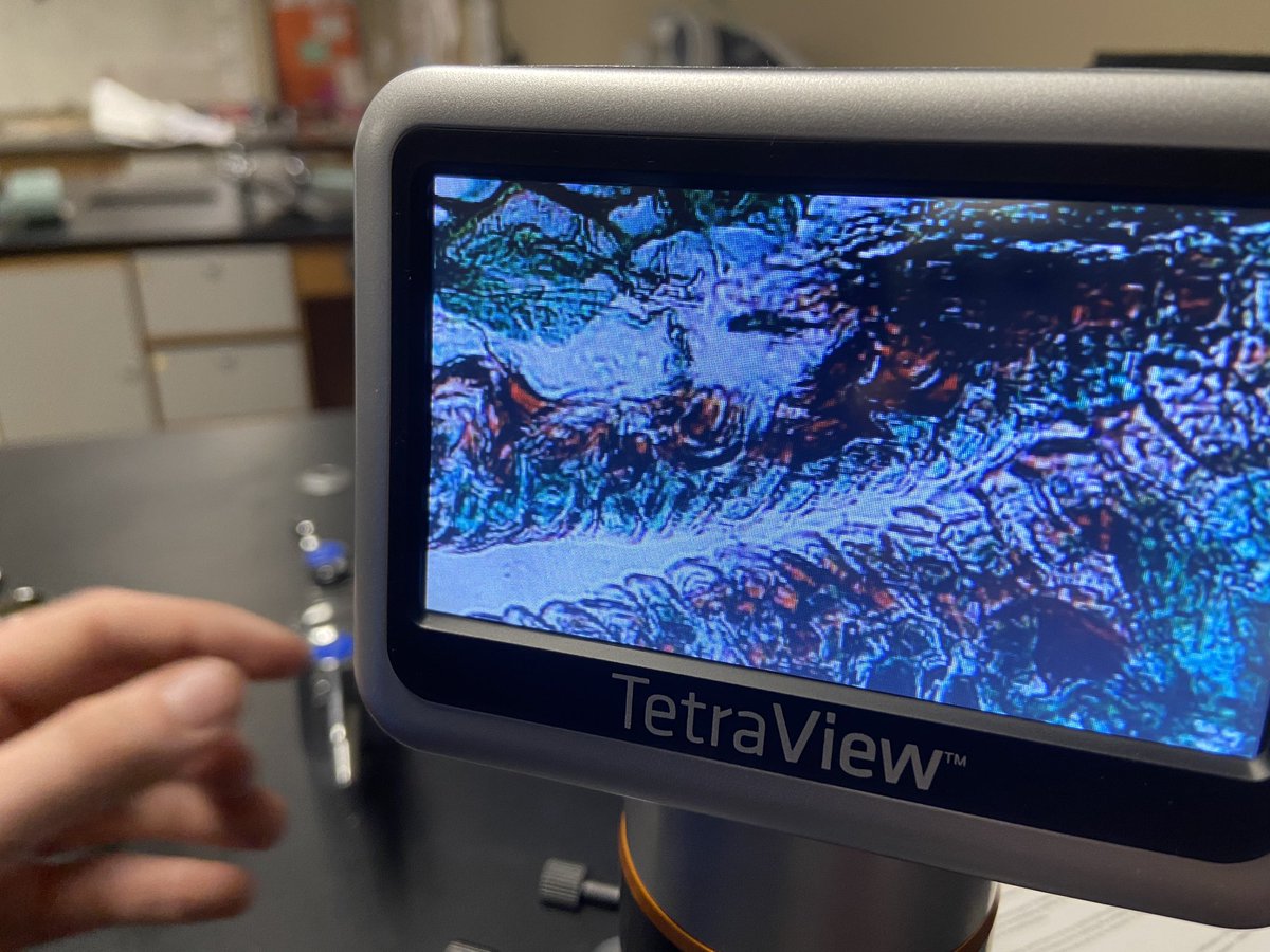 MeredithScience's tweet photo. We got our digital microscopes and took one for a test drive today in #7thgradescience. Our next unit is #cells. They’re much advanced than traditional microscopes, so I need to take a moment and learn how to fully operate them. We got see xylem in a pine tree slide. 😱😱 https://t.co/59mWdCi1KU