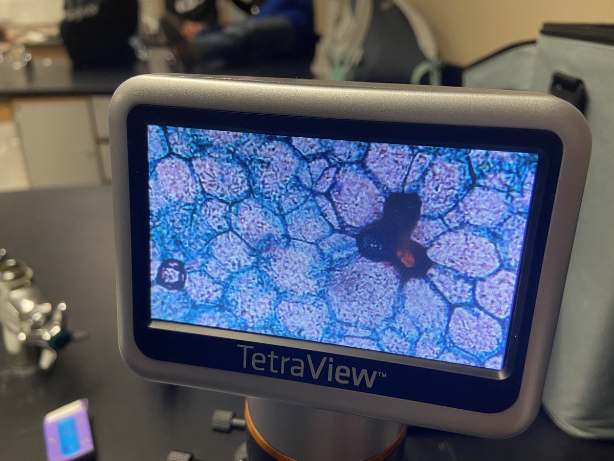 MeredithScience's tweet photo. We got our digital microscopes and took one for a test drive today in #7thgradescience. Our next unit is #cells. They’re much advanced than traditional microscopes, so I need to take a moment and learn how to fully operate them. We got see xylem in a pine tree slide. 😱😱 https://t.co/59mWdCi1KU