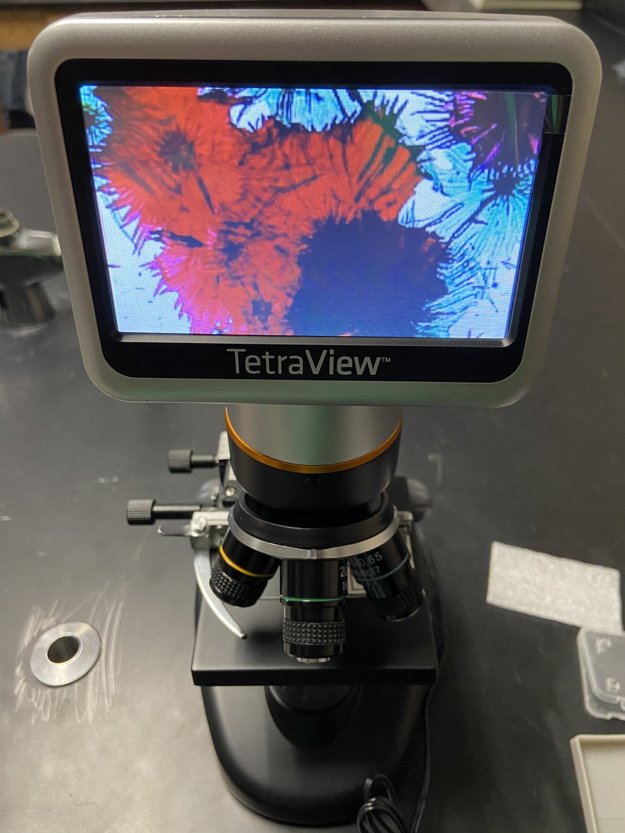MeredithScience's tweet photo. We got our digital microscopes and took one for a test drive today in #7thgradescience. Our next unit is #cells. They’re much advanced than traditional microscopes, so I need to take a moment and learn how to fully operate them. We got see xylem in a pine tree slide. 😱😱 https://t.co/59mWdCi1KU