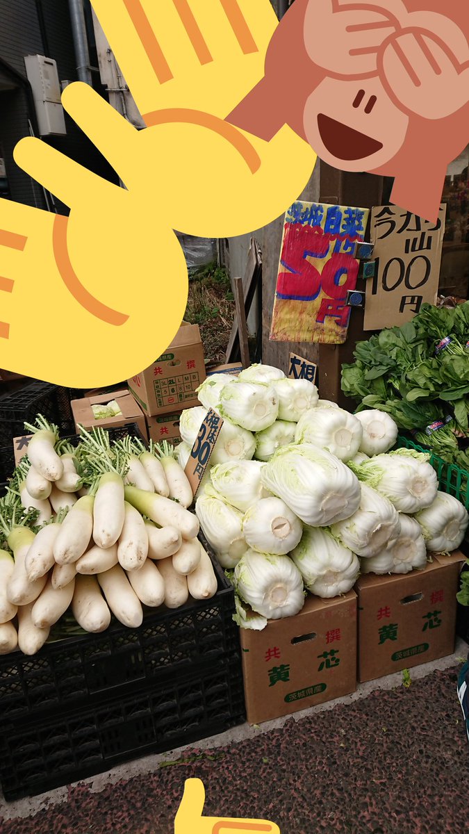 銀座 ラピーヌ らぱん 相変わらず近所の八百屋 ヤバイ値段なのよね笑 セロリが畑から切ってばらしてないやつで 0円ってのもあって 素晴らしい店舗ですよ