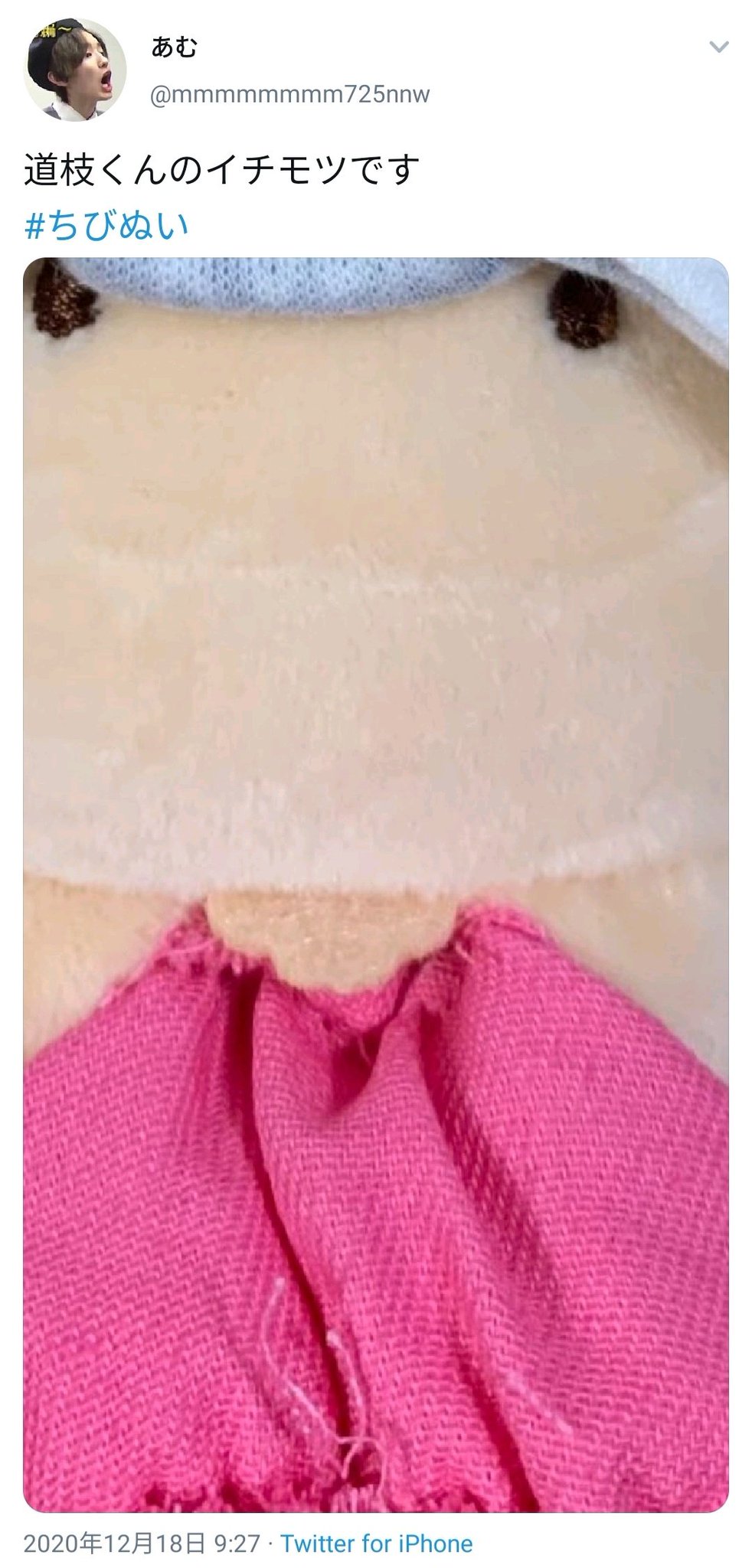 滝沢ガレソ ジャニーズがジャニーズジュニアのちびぬい ちびぬいぐるみ を発売 ぬいぐるみながら服を脱がせるとジュニアのジュニアが拝めることが判明 ジャニヲタに爆売れ