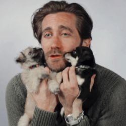 Happy birthday jake gyllenhaal vc é uma pessoa incrível  tmj vlw e nois cara te amo 