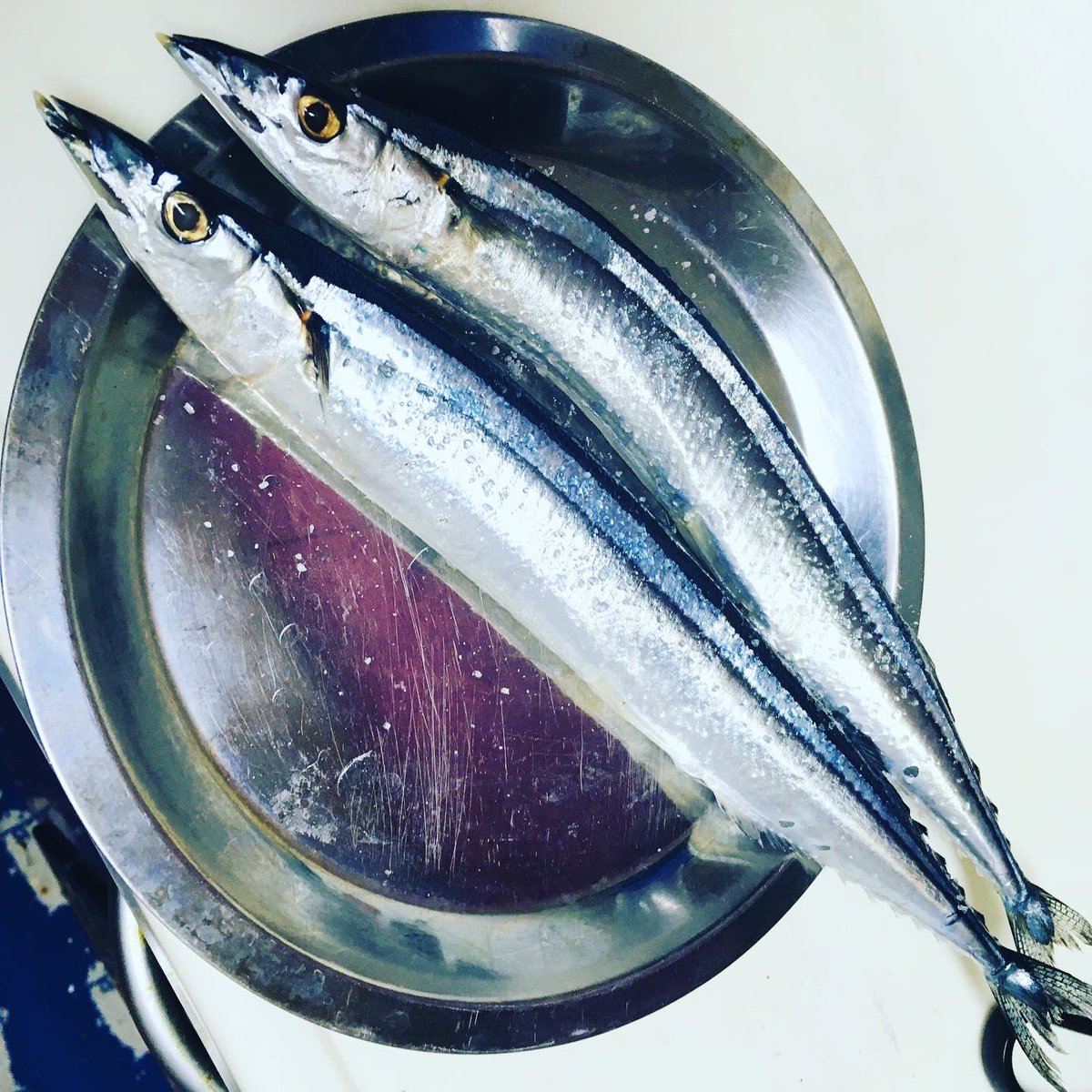秋刀魚 秋刀魚