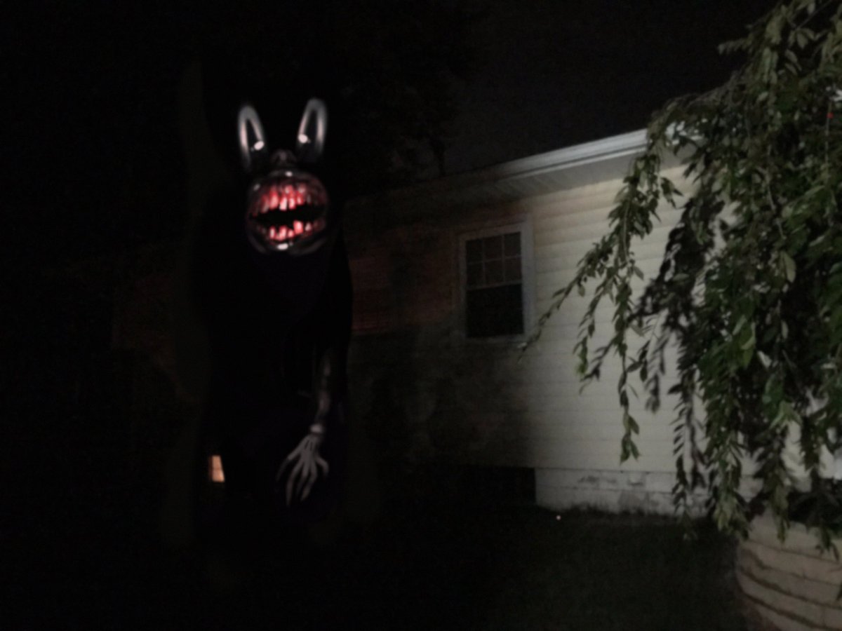 cartoon cat tweet media