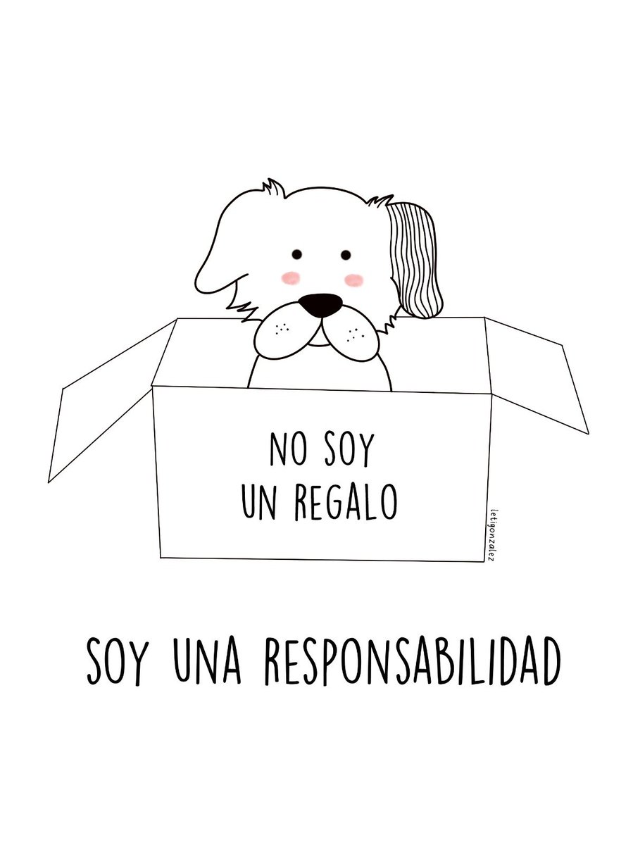 leti_glz's tweet photo. La mitad de los perros que se regalan en navidad son abandonados. NO son un regalo, SON una RESPONSABILIDAD!! #nocompresadopta #ResponsabilidadSocial #mascotas #perros #nosoyunjuguete https://t.co/ibbuWaIC0x