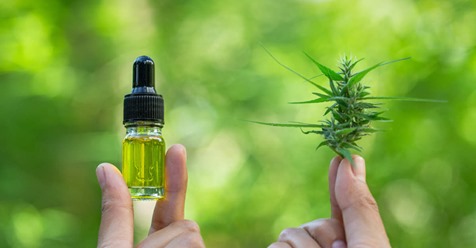 CannaClinicians's tweet photo. CBD - Everyone is trying it, but what do you need to consider before you jump in? Learn how to find safe products, which sellers to trust, &amp; how to find a physician to aid with dosing. 
https://t.co/ArKIf0euOP #wellness #wellnesswednesday #CannabisCommunity #CBD https://t.co/E0kmHFXcA8