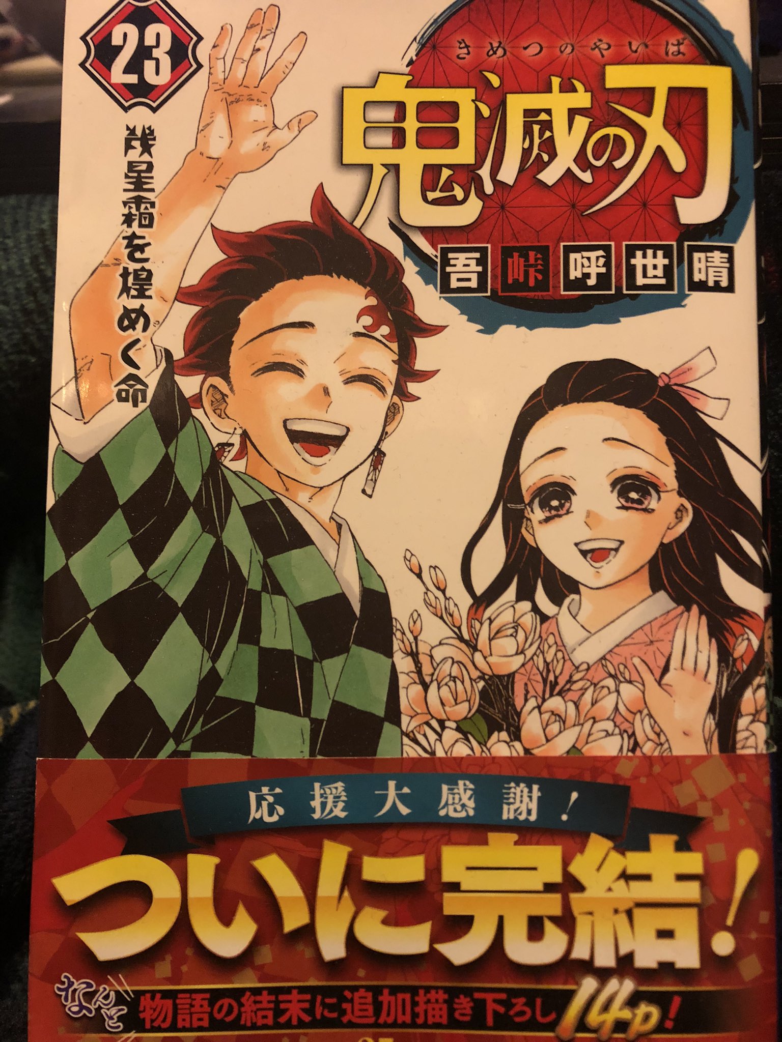 なかしゅん 今日は夜 鬼滅の刃やるね 楽しみだ これ観たらまた映画みたくなるやんね笑 ちなみに無限列車編は映画から観たから その後漫画みたとき少し物足りなさを感じた もちろん漫画でも面白いけどアニメってすごいなと改めて感じた うまい