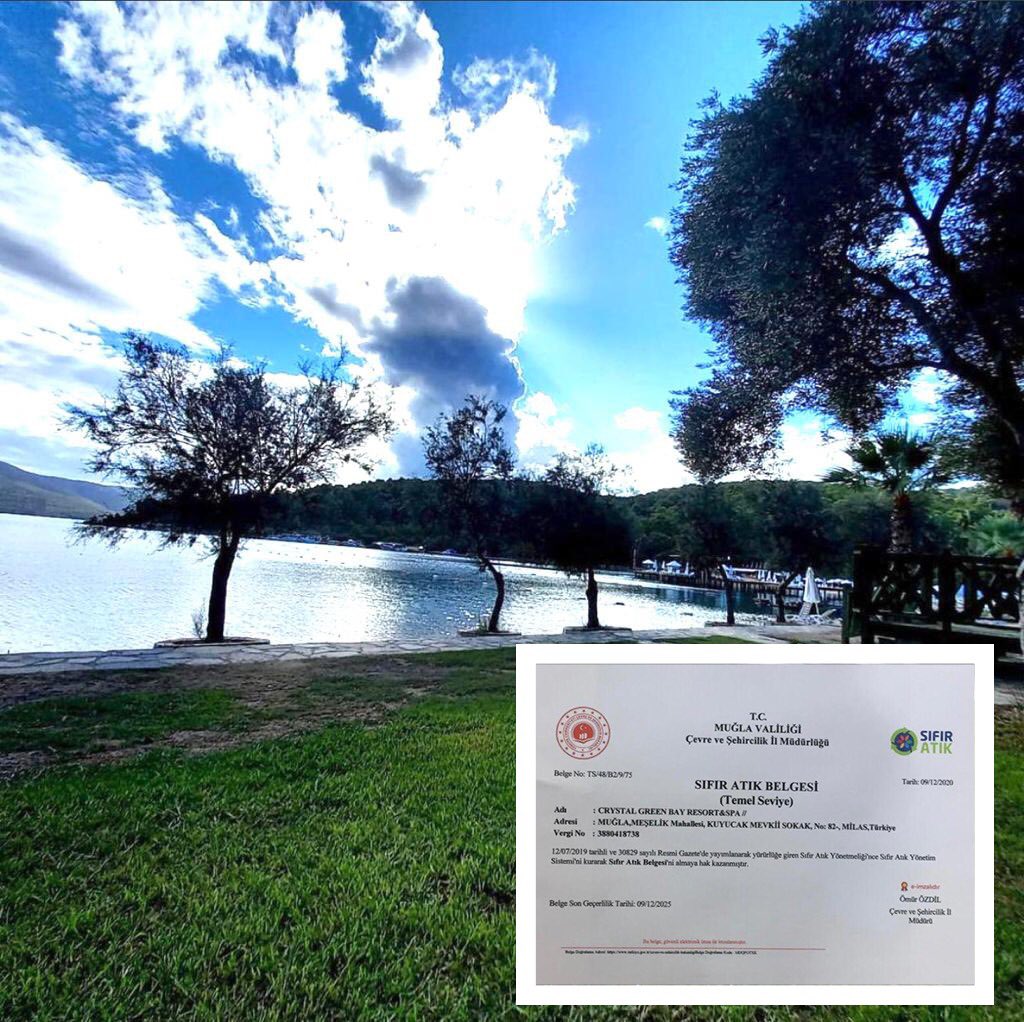 Crystal Hotels tweet media