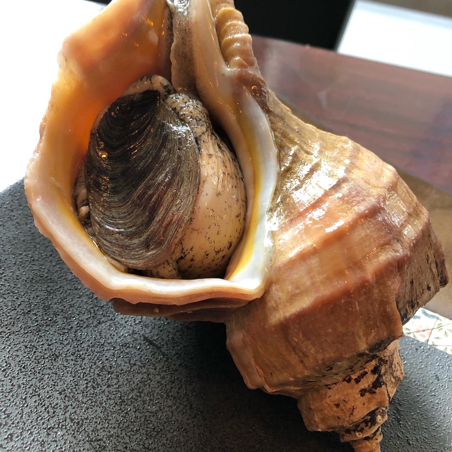 あそび割烹さん葉か 北海道はでっかいどー 特大サイズのつぶ貝入りました 単品でつぶ貝の肝醤油と一緒にお刺身なんかいかがでしょう ๑ Gt Lt ๑ 本日お席残り僅かです 明日は予約少なめなので狙い目ですよ 日曜日は16時からオープンしてます