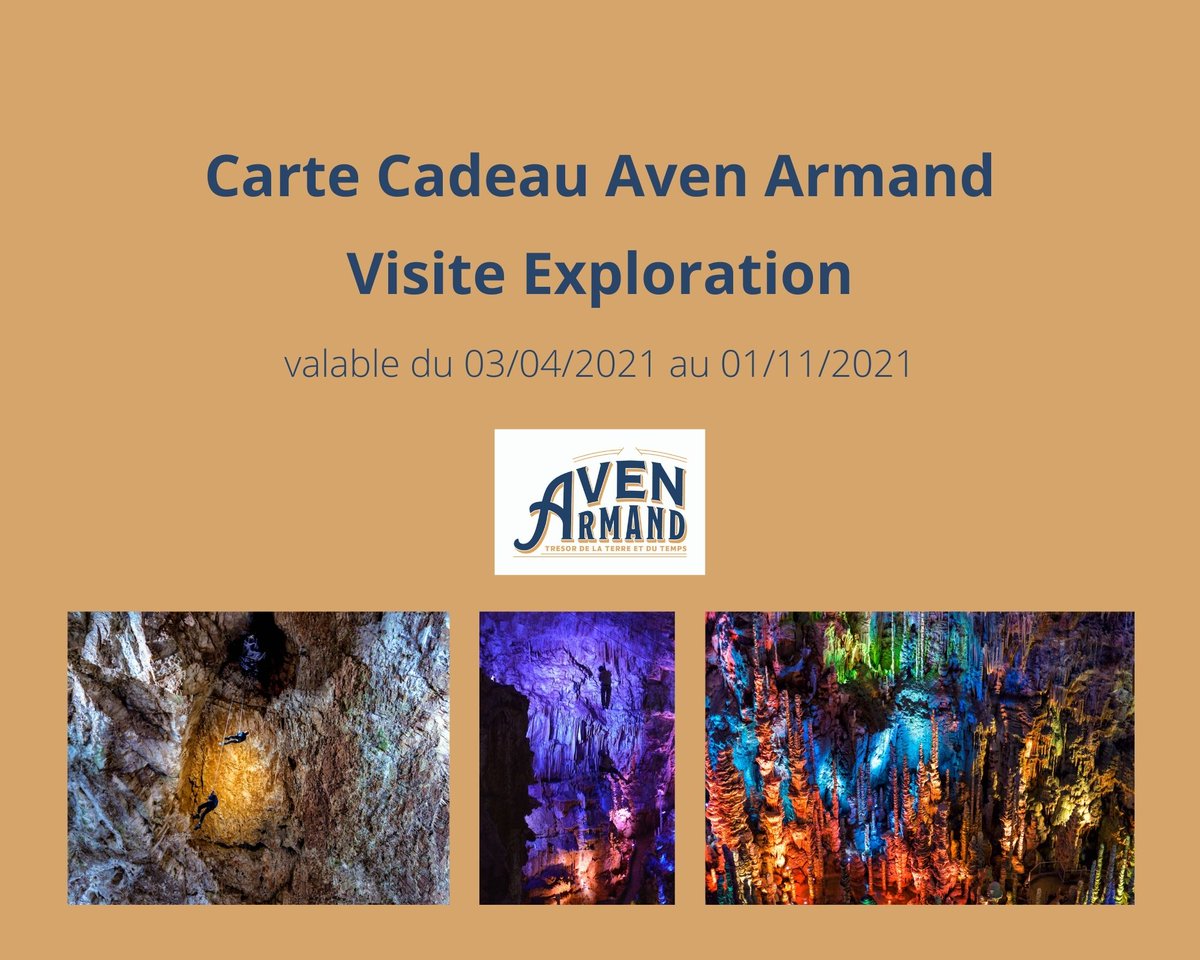 Il vous manque encore un cadeau pour Noël ? Et si vous offriez une expérience forte ? Avec la Visite Exploration de l'Aven Armand, Comme le Jour de sa Découverte ... offrez du rêve et de l'émotion ! bit.ly/2Z2wTlr 🎅🎁🌲 #noel #ideescadeaux #visiteexploration
