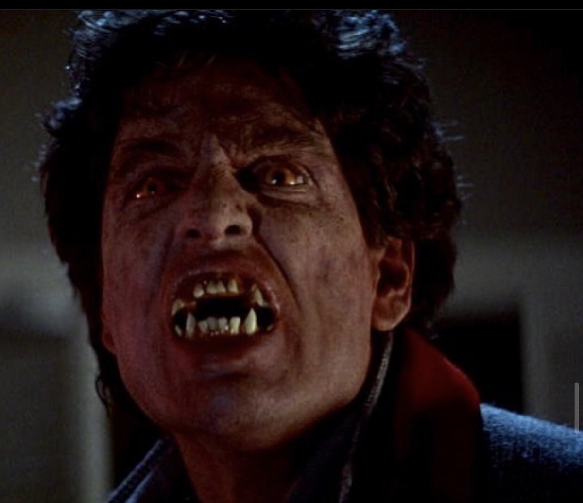 TheErlik's tweet photo. #chrissarandon reinvented the #vampire in this 1985 #horror #masterpiece! #frightnight — along with #thelostboys and #neardark round out the unholy trinity of all time #epic vampire #movies of the 1980’s.
#80shorror #youresocoolbrewster #frightnight1985 #horror #thriller https://t.co/pSsVJwcc2n