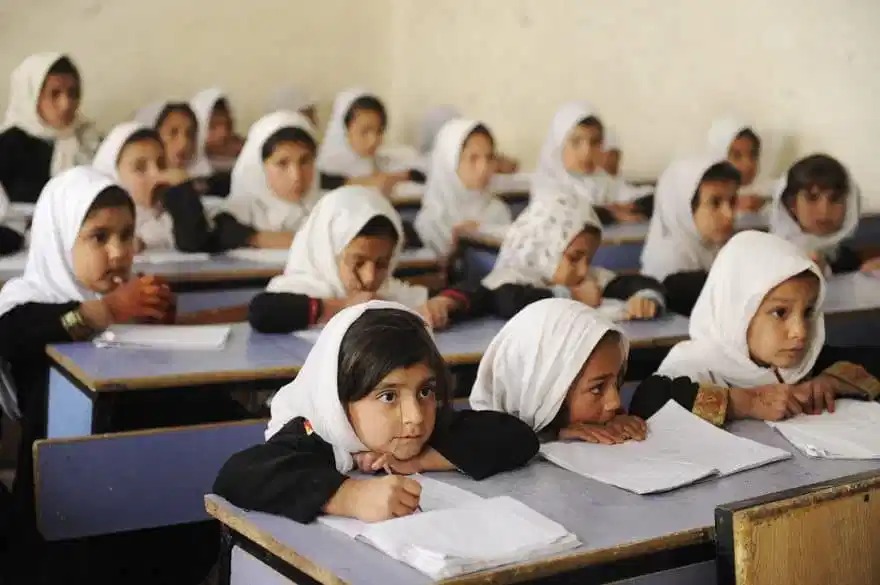 MuskaAfghan1's tweet photo. ملګري ملتونه په افغانستان کې د طالبانو تر نفوذ لاندې سیمو کې زرګونه ښوونځي جوړوي.
د ملګرو ملتونو د ماشومانو ادارې یا یونیسف ویلي د طالبانو له مشرتابه سره هوکړي ته رسېدلي چه ددوۍ تر اغیز لاندي سیمو کې به 1000 ښوونځي جوړ کړي.
موږ ددې تړون ملاتړي یو.
#ShowYourCommittment #UN https://t.co/5ShL7CzbMh