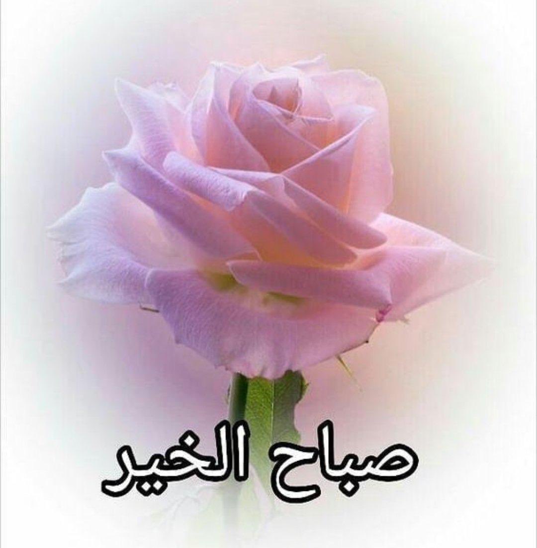 اللھِم اكتب لنا بداية يوم جديدِ مليء بالفِـرح والسـعـادة وتحقيق الأماني .

 *صبَاح الأمل بالله*
