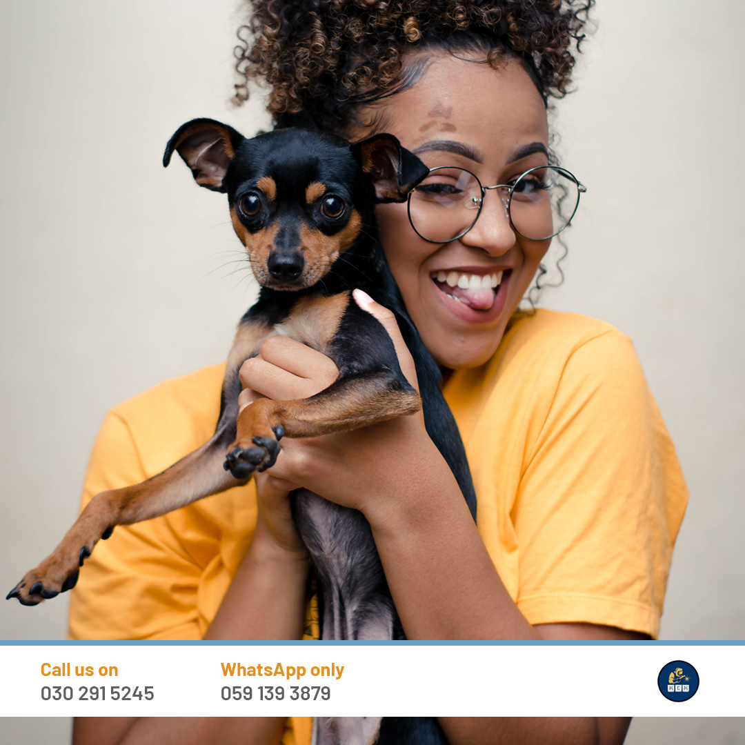 mastercraftgh's tweet photo. Pet lovers, here's your streak. Your pet's deserve the best of love and protection - top the protection with high quality and safe pet cages. Call us on 030 291 5245 for more information. #PetLovers https://t.co/bA3qpGiKUt