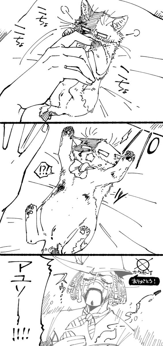 猫㌧再掲12 