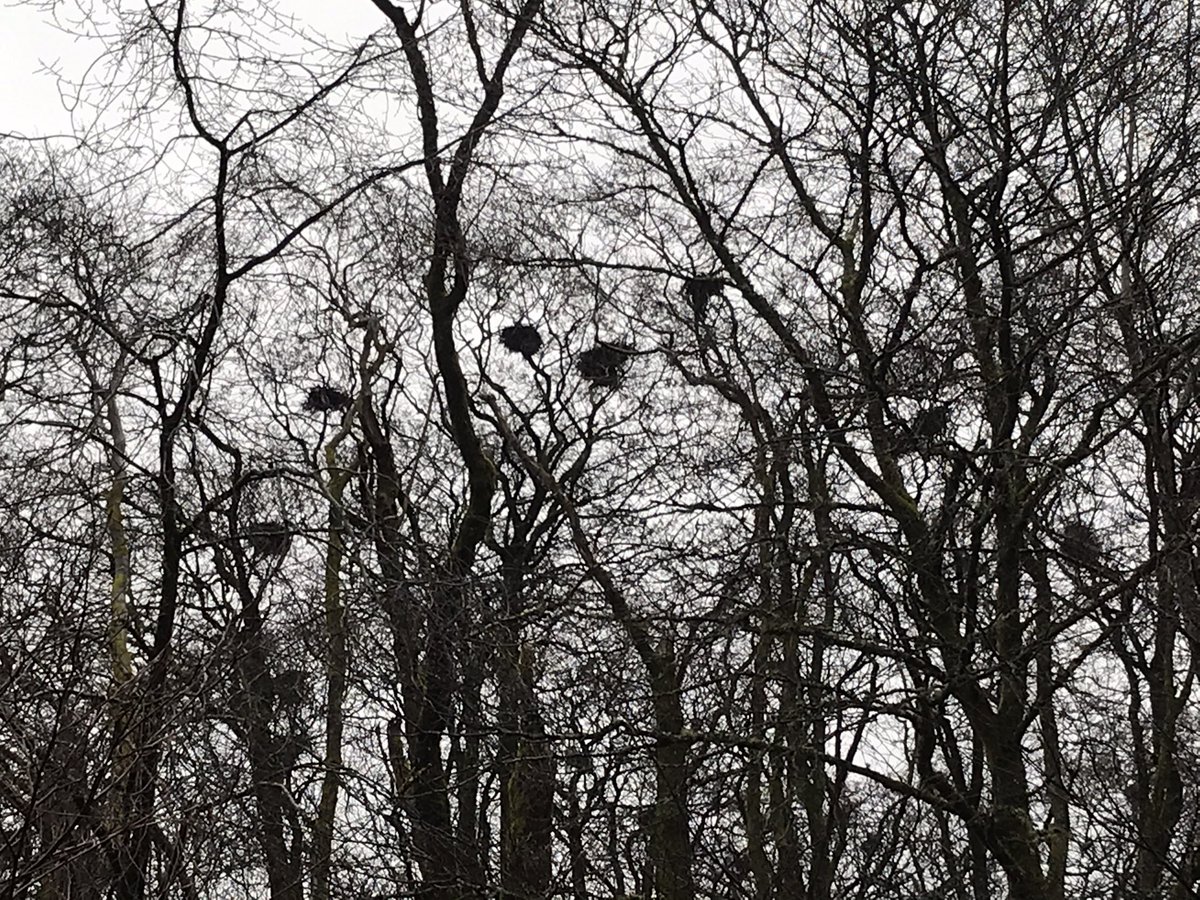 Some images from my trip yesterday- a wet and driech Scotland- but lovely still 