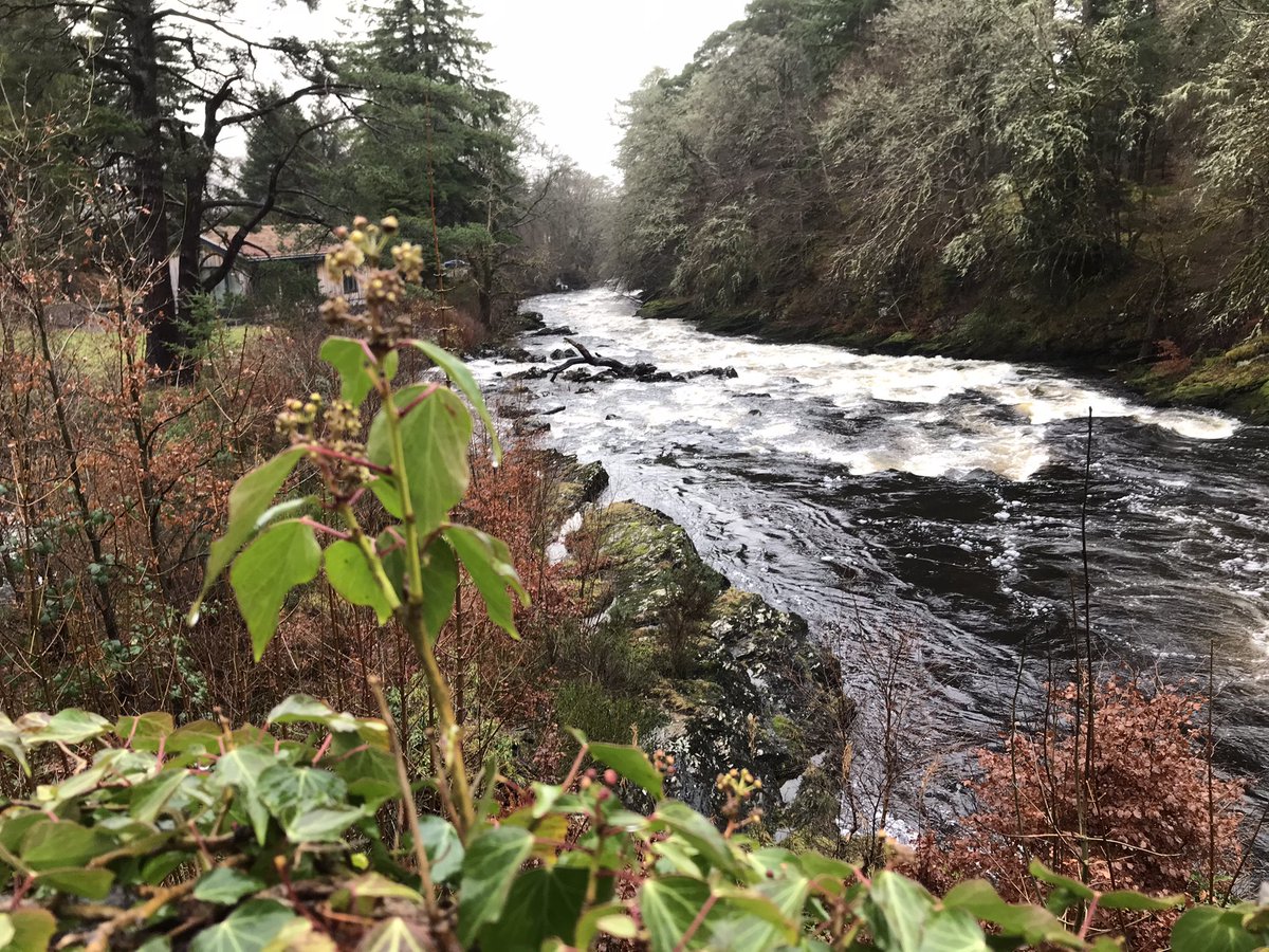 Some images from my trip yesterday- a wet and driech Scotland- but lovely still 